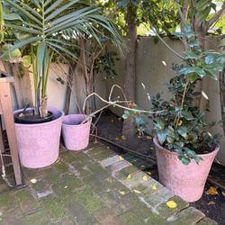 Four Terracotta Planters Pots 