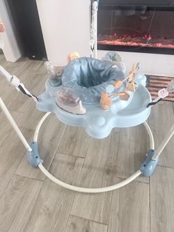 baby bouncer and walker