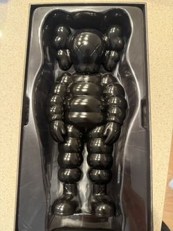 Kaws What Party (black)