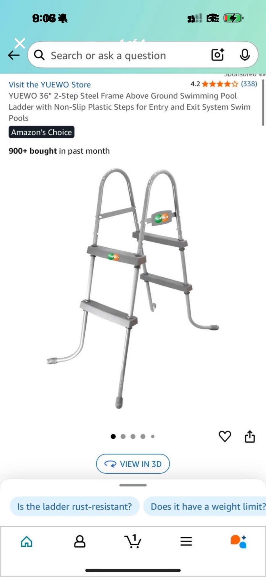 Pool Ladder