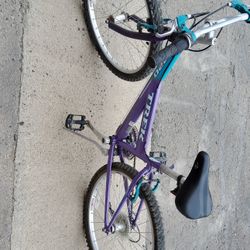 Womens TREK Bicycle 