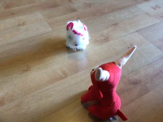 Pink Puppy & Red Bull