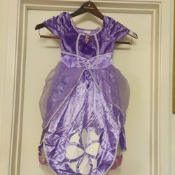 Sofia First Birthday Dress For Toddler Girls Size 4 