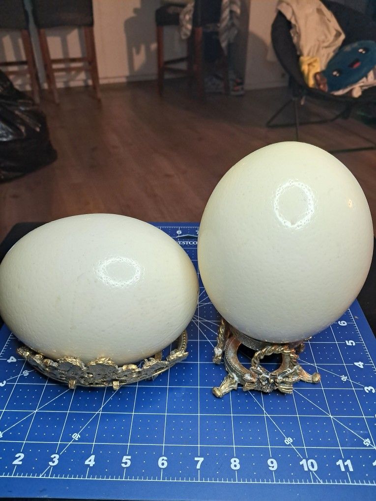 EGGS