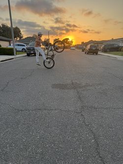 Beach Cruiser With Pegs