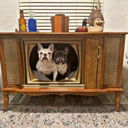 Vintage Tv Pet Bed 
