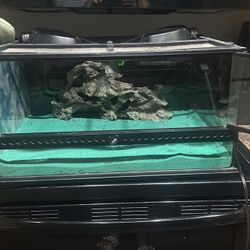 Starter ExoTerra 20G Reptile Tank + Extras