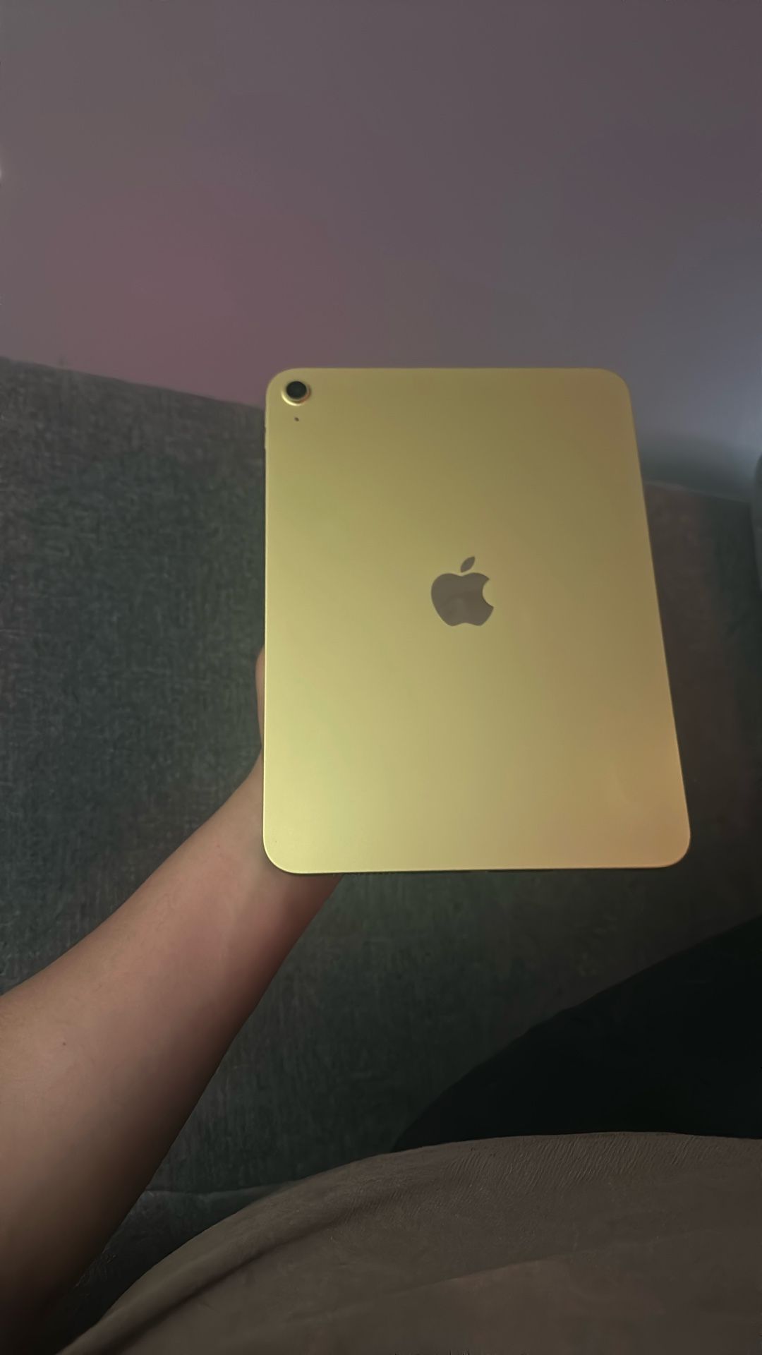 10th Generation iPad 256gb
