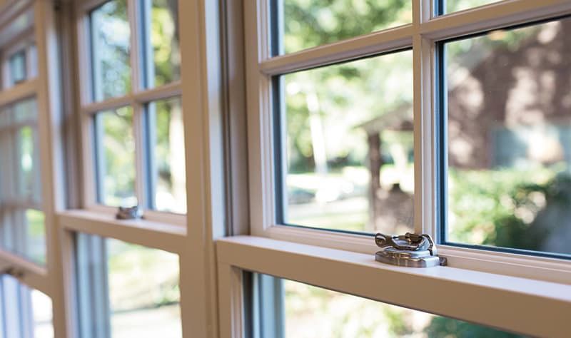 Window Cleaning Service