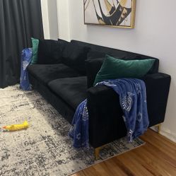 Velvet Couch 