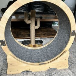 Cat Wheel 