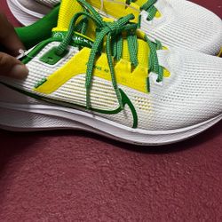 Nike Pegasus 40 Oregon Size 10.5