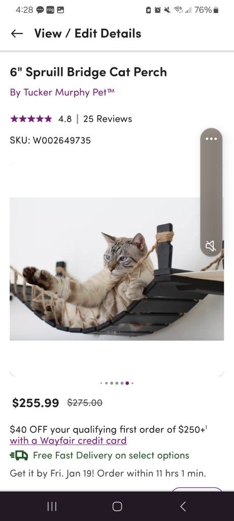 Wall Cat Bridge