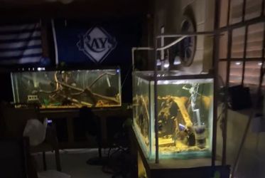 AQUARIUMS (all sizes) CHEAP
