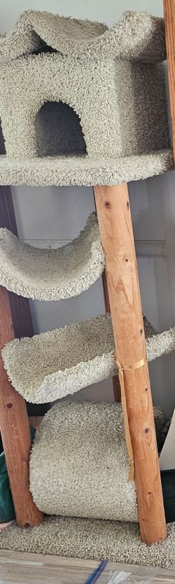Cat stand