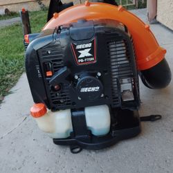Stihl Echó Bloower Sopladora X 770
