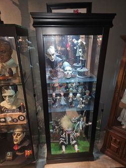 Display case curio