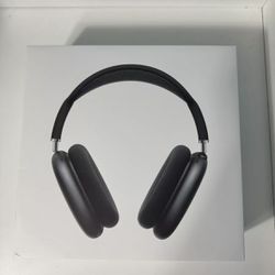 Apple Pro Max Headphone Space Gray
