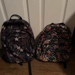 Disney Purchased Backpacks