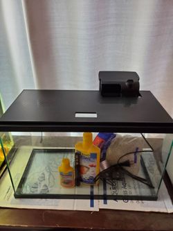 10 gallon aquarium setup