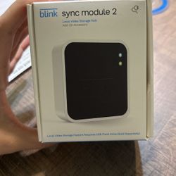 Blink Sync Module 2
