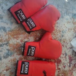 Box Gloves 