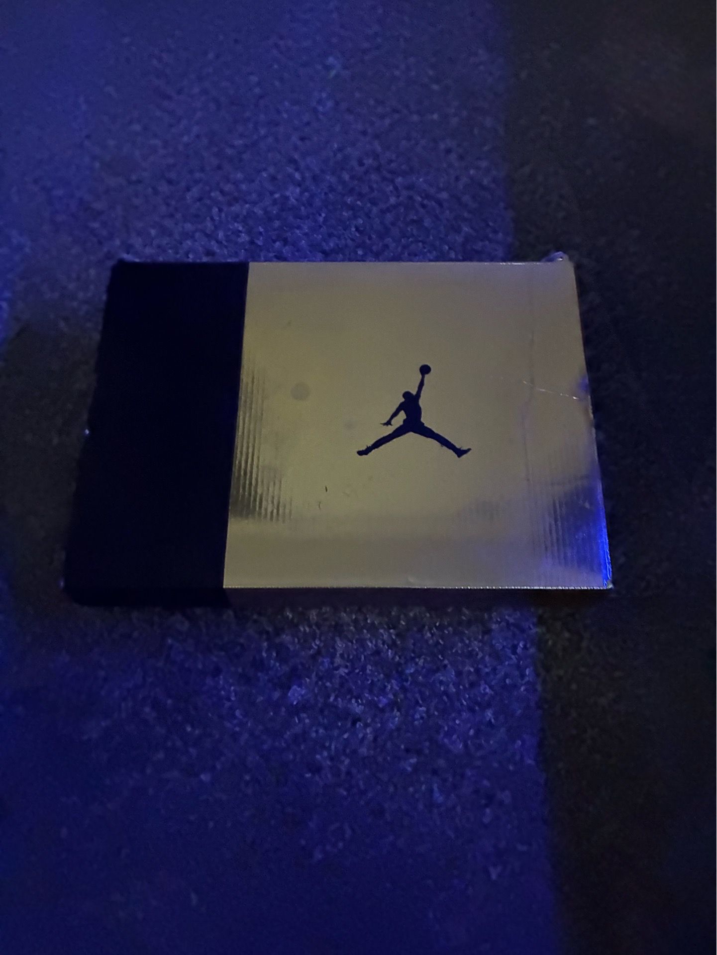 Jordan 6 retro dmp (GS)