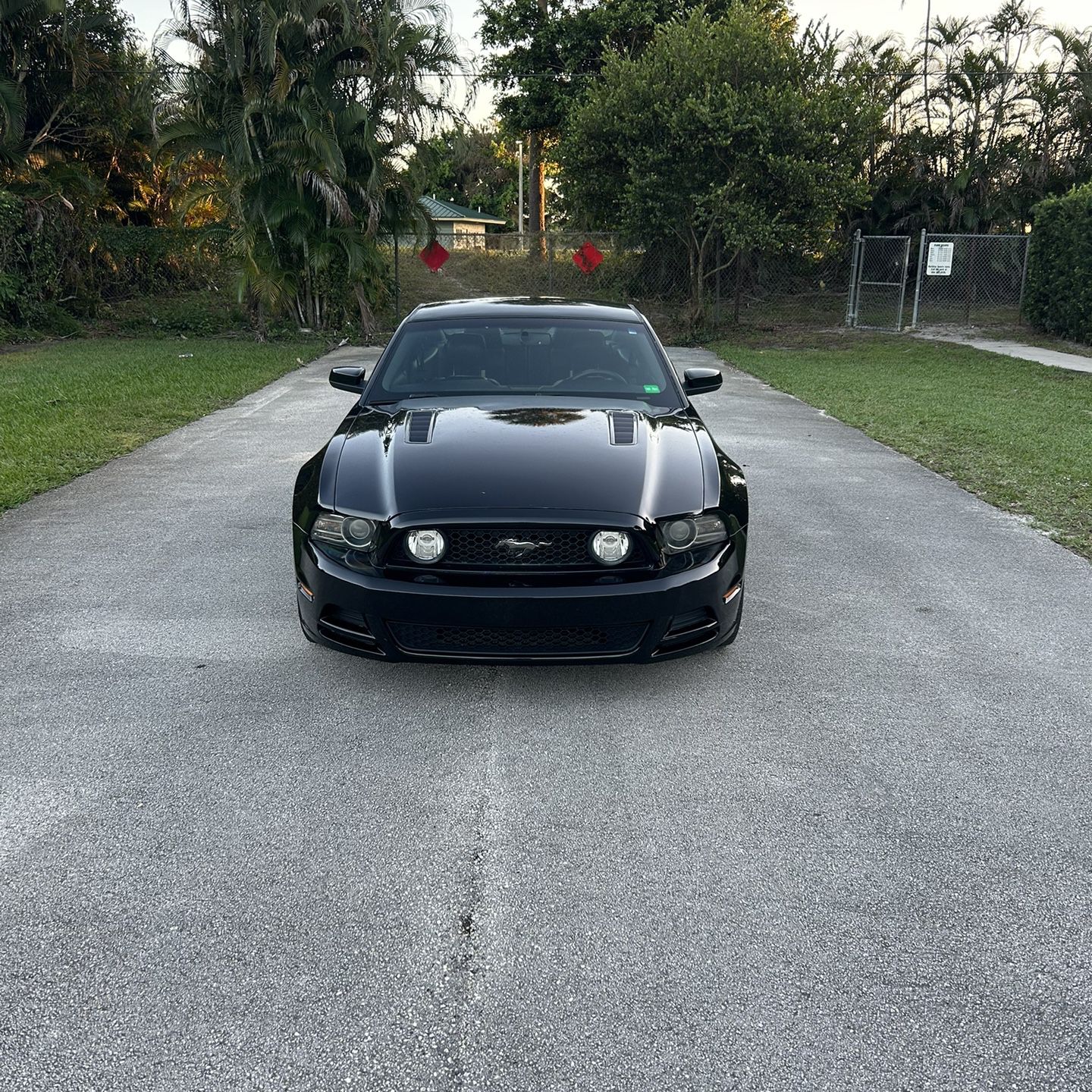 2013 Ford Mustang