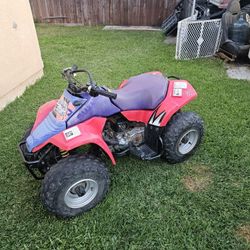 Suzuki Lt 80 Lt80 Quad 