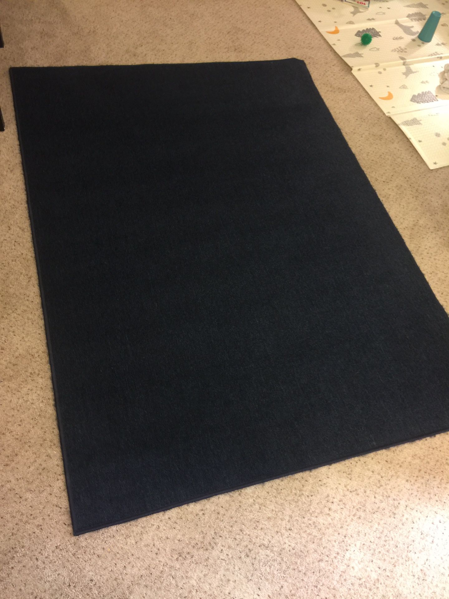 Dark blue carpet