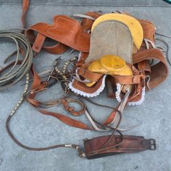 Horse Saddle 