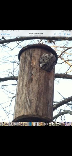 Handcrafted Owl House.     $50 Cash firm.    South Austin.    Never used.