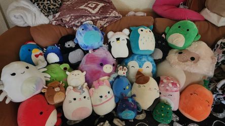 Squishmallow BIG Bundle