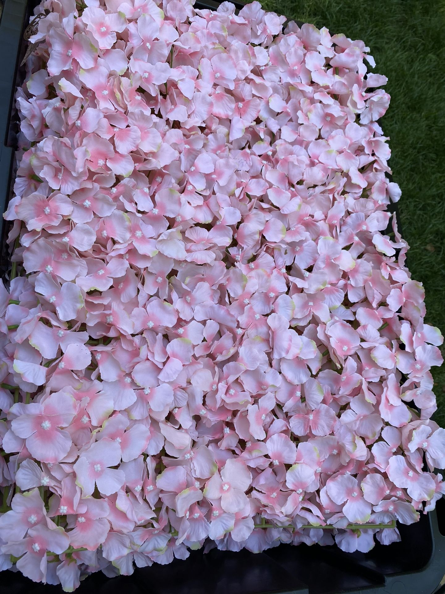 Pink Hydrangea Flowers Wall Panels