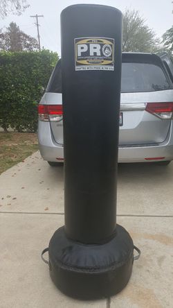 Free-standing  Punching And Kicking Bag