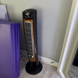 Lasso Oscillating Fan