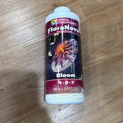 Bloom