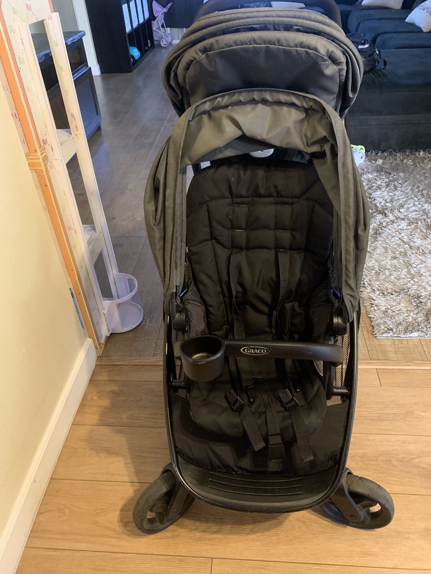Graco Ready2grow 2.0 Double Stroller