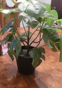 Artificial Ikea Plant