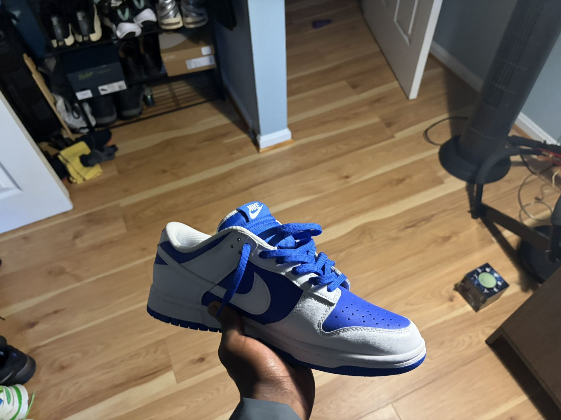 Nike Men’s Dunk Low Racer