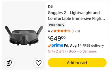 Dji Goggles 2