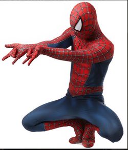 Men's Spiderman Costume Size Small $40Firm