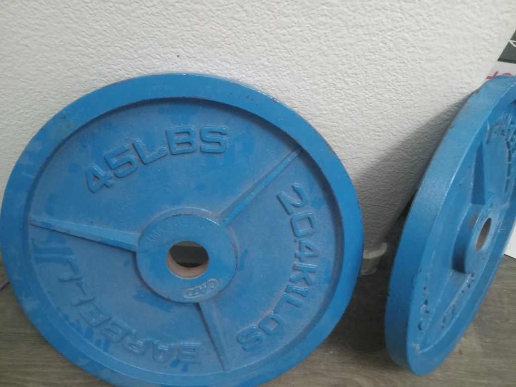 45 Lb Plate Weights 45 Each Obo
