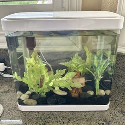 5 Gallon Fish Tank