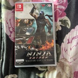 Ninja Gaiden Master Collection 