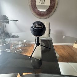 Blue yeti snowball mic