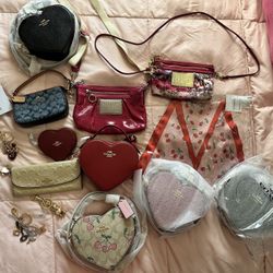 Lot Of Bags/accessories