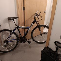 Electroshock Magna Men's Bike. 