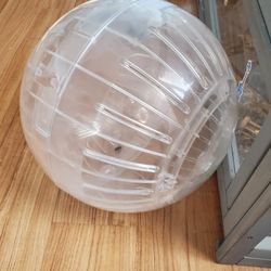 Plastic Ball 