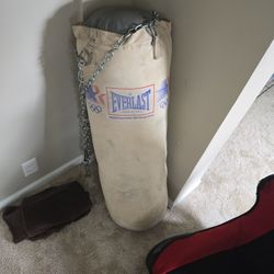 Everlasting Punching Bag